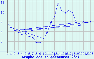 Courbe de tempratures pour Wunsiedel Schonbrun