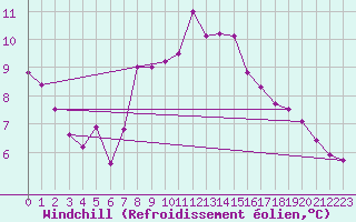 Courbe du refroidissement olien pour Dourbes (Be)