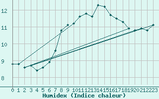 Courbe de l'humidex pour Lauwersoog Aws