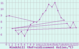 Courbe du refroidissement olien pour Neu Ulrichstein
