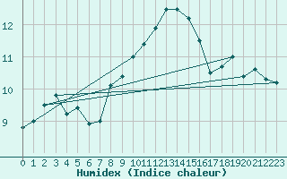 Courbe de l'humidex pour Zrenjanin