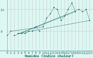 Courbe de l'humidex pour Buholmrasa Fyr