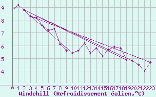 Courbe du refroidissement olien pour Sjenica