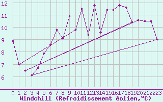 Courbe du refroidissement olien pour Wdenswil