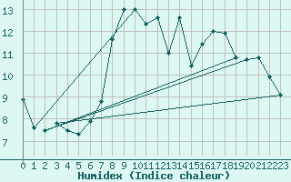 Courbe de l'humidex pour Ballypatrick Forest