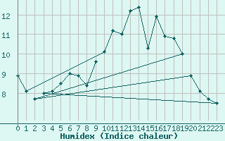 Courbe de l'humidex pour Nuerburg-Barweiler
