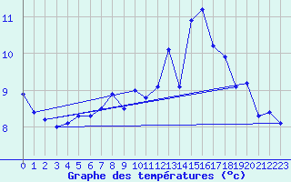 Courbe de tempratures pour Kleiner Feldberg / Taunus