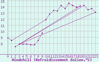Courbe du refroidissement olien pour Koblenz Falckenstein
