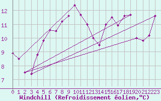 Courbe du refroidissement olien pour Sogndal / Haukasen