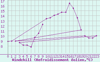 Courbe du refroidissement olien pour Neuhaus A. R.