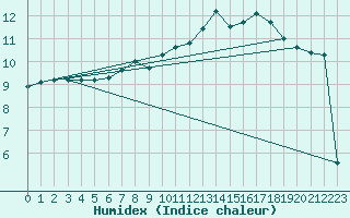 Courbe de l'humidex pour Radinghem (62)