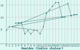 Courbe de l'humidex pour Torino / Bric Della Croce