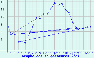 Courbe de tempratures pour Fichtelberg