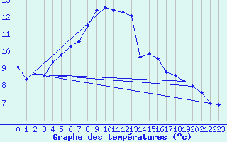 Courbe de tempratures pour Hunge