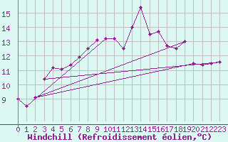 Courbe du refroidissement olien pour Schleiz