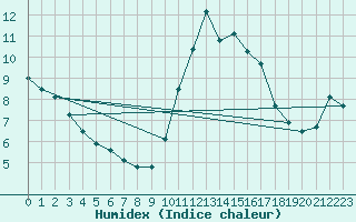 Courbe de l'humidex pour Orlans (45)