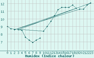 Courbe de l'humidex pour Saint-Laurent-du-Pont (38)