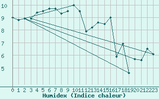 Courbe de l'humidex pour Wilhelminadorp Aws