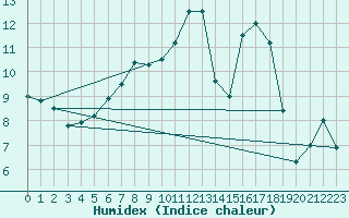 Courbe de l'humidex pour Schauenburg-Elgershausen