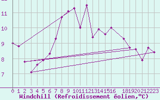 Courbe du refroidissement olien pour Hoerby