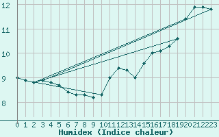 Courbe de l'humidex pour Radinghem (62)