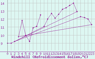 Courbe du refroidissement olien pour Asikkala Pulkkilanharju