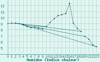 Courbe de l'humidex pour Sarzeau (56)