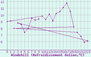Courbe du refroidissement olien pour Neuhaus A. R.