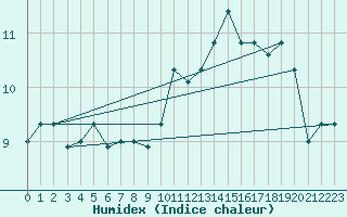 Courbe de l'humidex pour Punta Marina