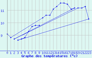 Courbe de tempratures pour Nideggen-Schmidt