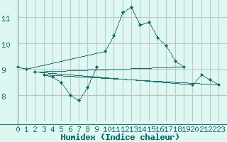 Courbe de l'humidex pour Berkenhout AWS