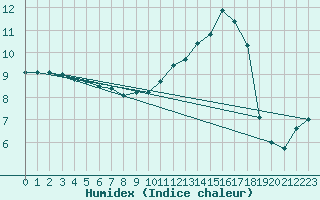 Courbe de l'humidex pour Biscarrosse (40)