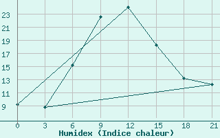 Courbe de l'humidex pour Novyj Ushtogan