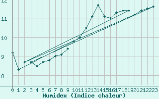 Courbe de l'humidex pour Douzy (08)