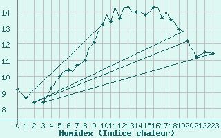Courbe de l'humidex pour Connaught Airport