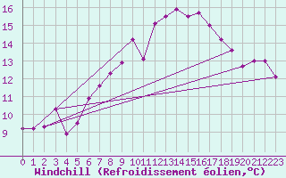 Courbe du refroidissement olien pour Forde / Bringelandsasen