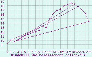 Courbe du refroidissement olien pour Elsenborn (Be)