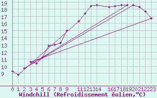 Courbe du refroidissement olien pour Dourbes (Be)