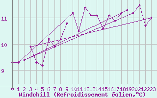 Courbe du refroidissement olien pour Klippeneck