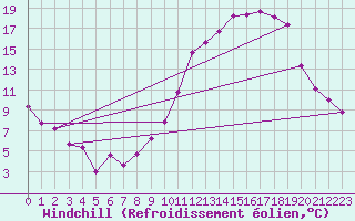 Courbe du refroidissement olien pour Albi (81)