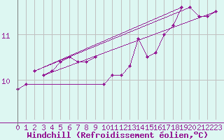 Courbe du refroidissement olien pour Muirancourt (60)