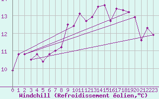 Courbe du refroidissement olien pour Belorado