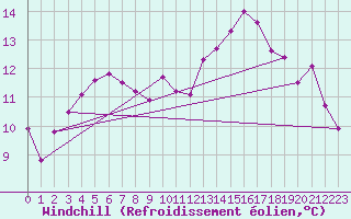 Courbe du refroidissement olien pour Koblenz Falckenstein