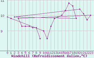 Courbe du refroidissement olien pour Neuhaus A. R.