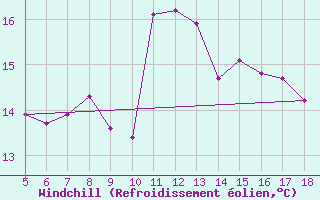 Courbe du refroidissement olien pour M. Calamita
