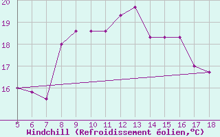 Courbe du refroidissement olien pour M. Calamita