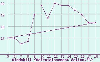 Courbe du refroidissement olien pour M. Calamita