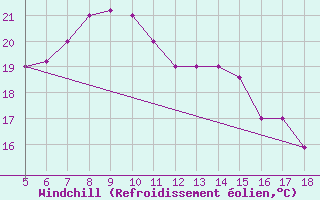 Courbe du refroidissement olien pour M. Calamita