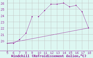 Courbe du refroidissement olien pour M. Calamita