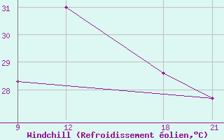 Courbe du refroidissement olien pour Wide Awake Field Ascension Island